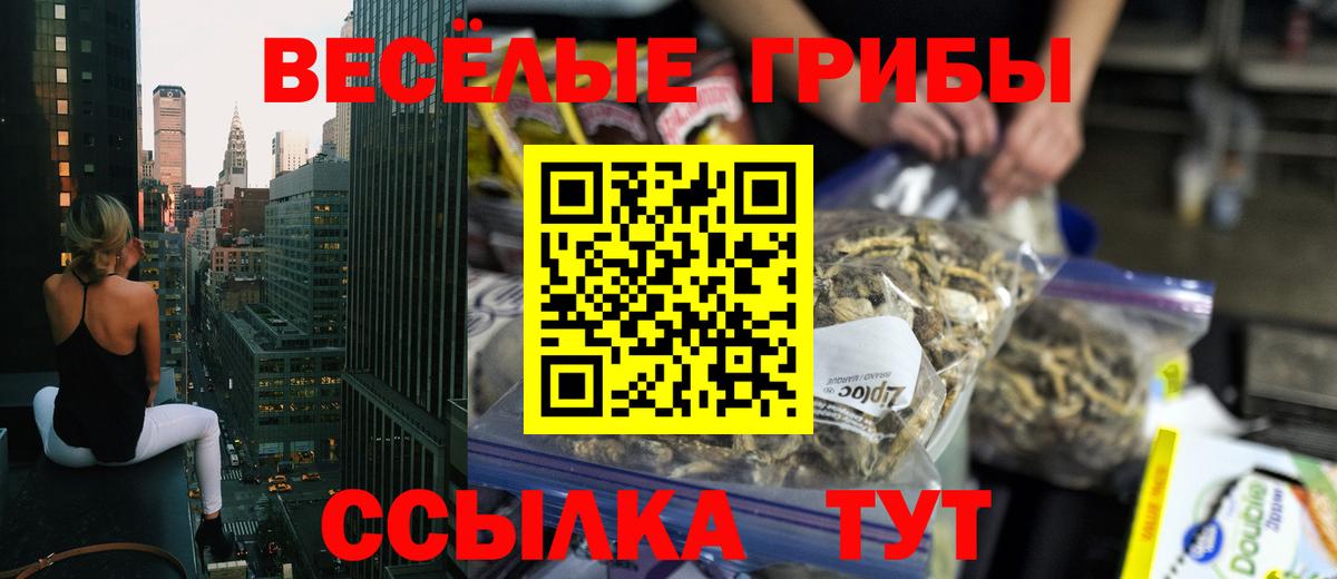 Псилоцибиновые грибы MAGIC MUSHROOMS  Вход с VPN  Сызрань  Галлюциногенные грибы GOLDEN TEACHER 